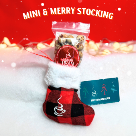 Mini & Merry Stocking*