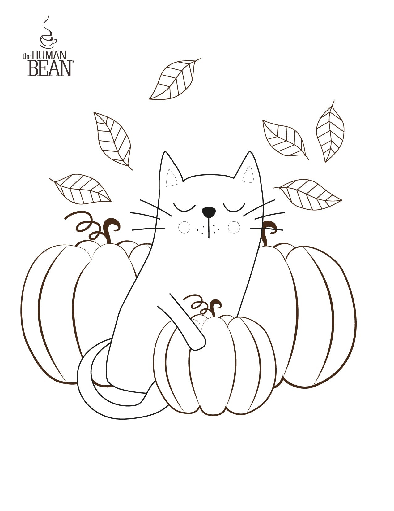 Cat and Pumpkins Kid's Coloring Page