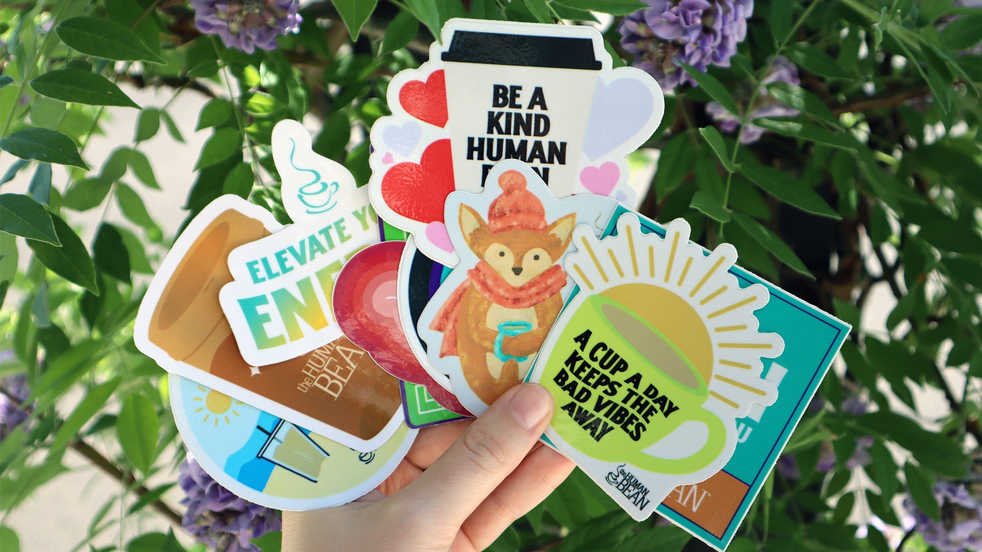 Stickers – The Human Bean